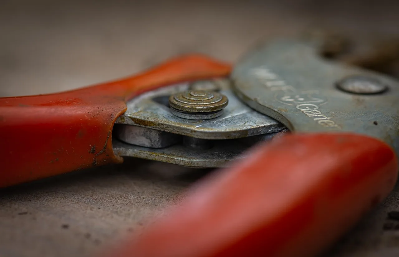 pruning shears, tool, close up, metal, gardening, equipment, gardening tool, gardening equipment. Equipment brands for a florist business, compared