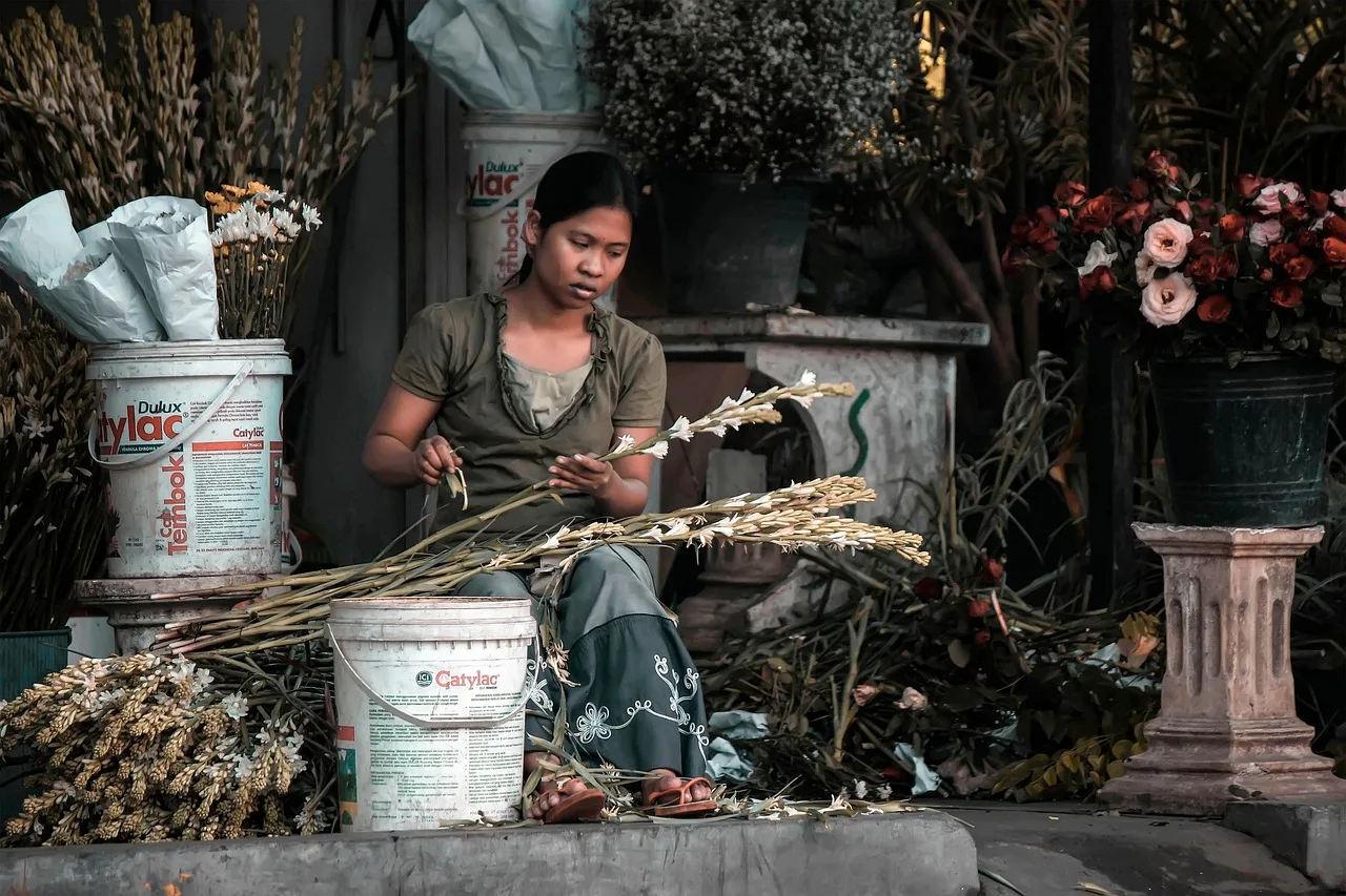 woman, flowers, flower wallpaper, florist, sidewalk, shop, beautiful flowers, urban, plants, bouquet, nature, flower background, market, store. Florist suppliers: the practical version