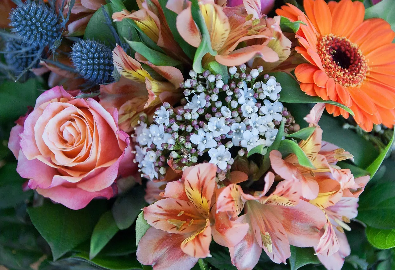 flowers, bouquet, pink, beautiful flowers, flower background, nature, flower wallpaper, florist. Edmonton winter florist guide: cold chain, vans and staffing