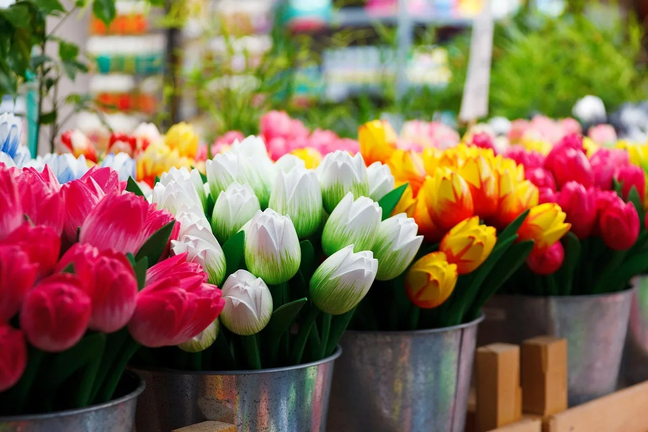 flower, group, colored, colorful, tulip, tulips, many, buckets, flower wallpaper, bucket, souvenir, wooden tulips, beautiful flowers, flower background, item, nature, fake flowers, dutch, amsterdam, display, wooden, holland. Florist equipment for a first-time owner