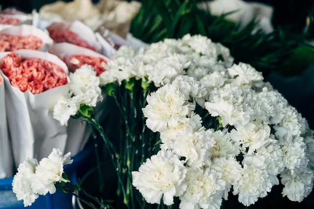 flower, plant, florist, market, flower background, sale, flower wallpaper, thailand, bangkok, thai, asia, floral, nature, seller, shop, store, e commerce, multicoloured, beautiful flowers, naturally, floristry, festive, beautiful, decorative, decoration, object, business, entrepreneur. Insurance costs for florists compared, from proof of cover to the cheapest line