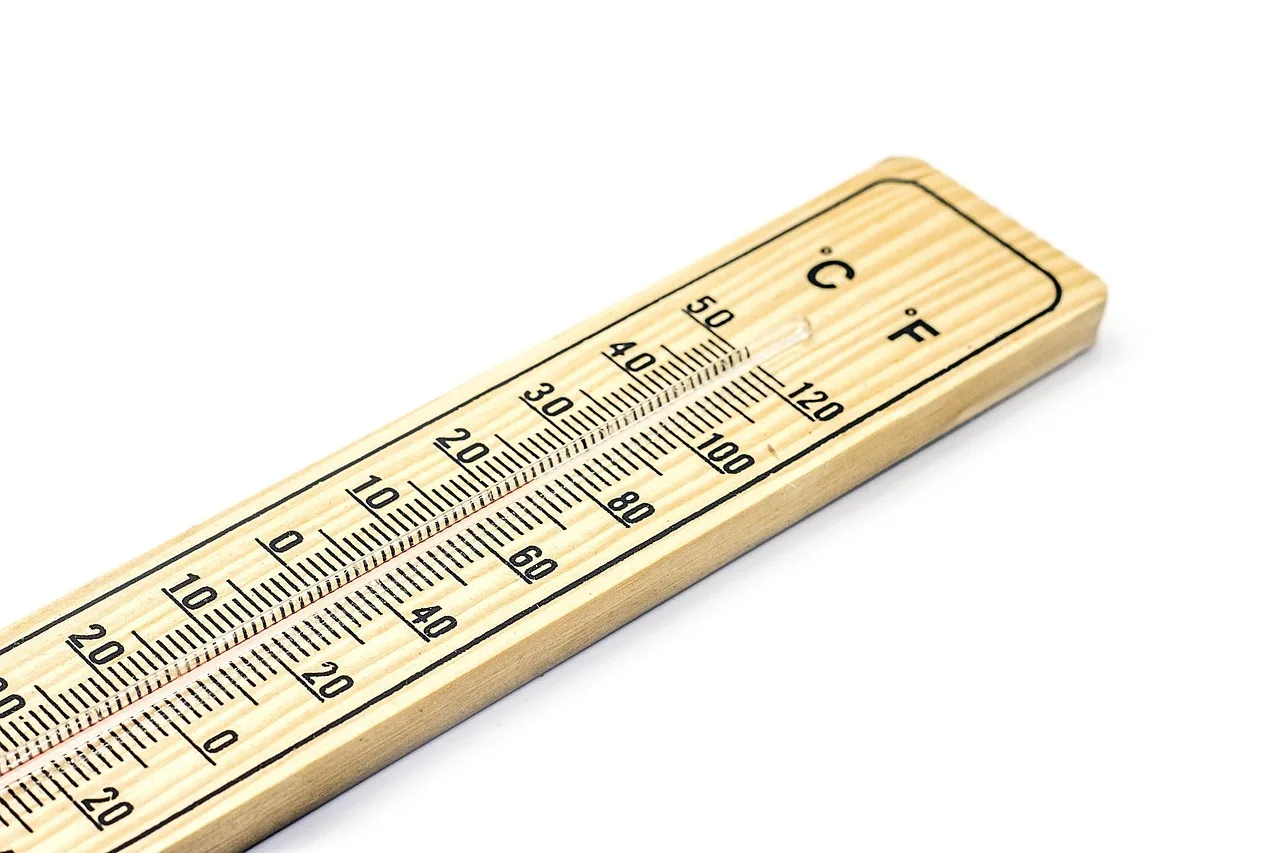 thermometer, temperature, measurement, equipment, celsius, instrument, weather, degree, scale, fahrenheit, wooden, isolated, white background, thermometer, thermometer, thermometer, thermometer, thermometer, temperature, temperature, temperature. Florist SOP checklist: daily checks and handoff