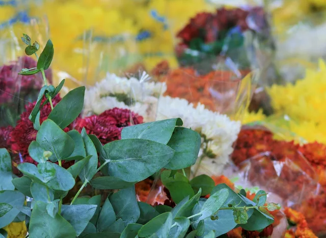 flowers, leaves, decorative, floral, nature, decorations, florist, greens, leafy, tropical, beautiful flowers, blossoms, flower background, blooms, bouquets, bunch, gifts, ornamental, fresh, flower wallpaper, delicate, seasonal, sale. GST and HST rates for Canadian florists, plus BC PST and Quebec QST