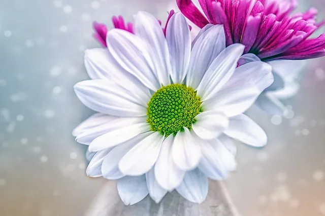 flowers, texture, beautiful flowers, art, artwork, arrangement, floral, florist, daisy, flower background, vase, romantic, love, bloom, nature, flower wallpaper, romance, spring, blossoms. Florist order scheduling: capacity, lead times and cutoff rules