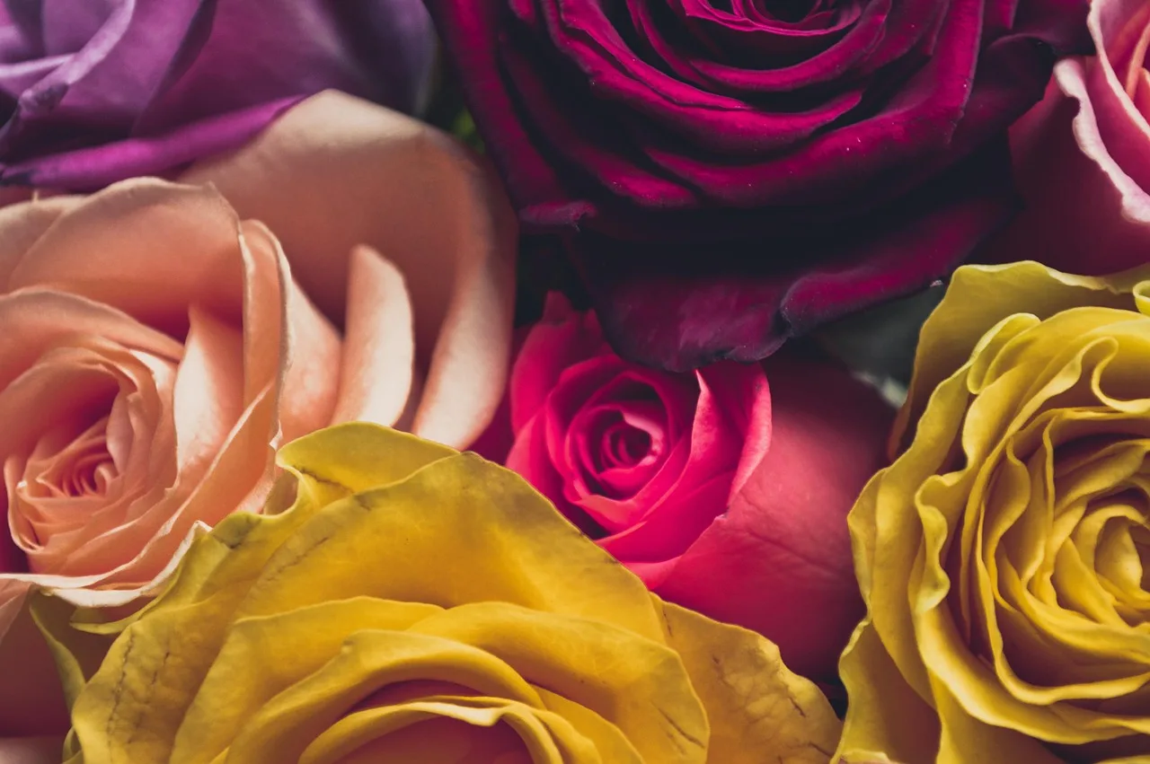 roses, laptop wallpaper, mac wallpaper, wallpaper hd, background, flower delivery, nature, floristics, florist, ikebana, flower wallpaper, floral arrangement, happy mothers day, fresh flowers, the flower arrangement, beautiful wallpaper, full hd wallpaper, garden flowers, free wallpaper, home flowers, floral design, 4k wallpaper, 4k wallpaper 1920x1080, phyto, beautiful flowers, flowers for wedding, hd wallpaper, courses floristry, flowers, desktop backgrounds, love, wallpaper 4k, novel, flower background, petals, windows wallpaper, bouquet, free background, bloom, march 8, cool backgrounds, floral background, international women's day. Florist sales channels: where buyers find you and how to test each one