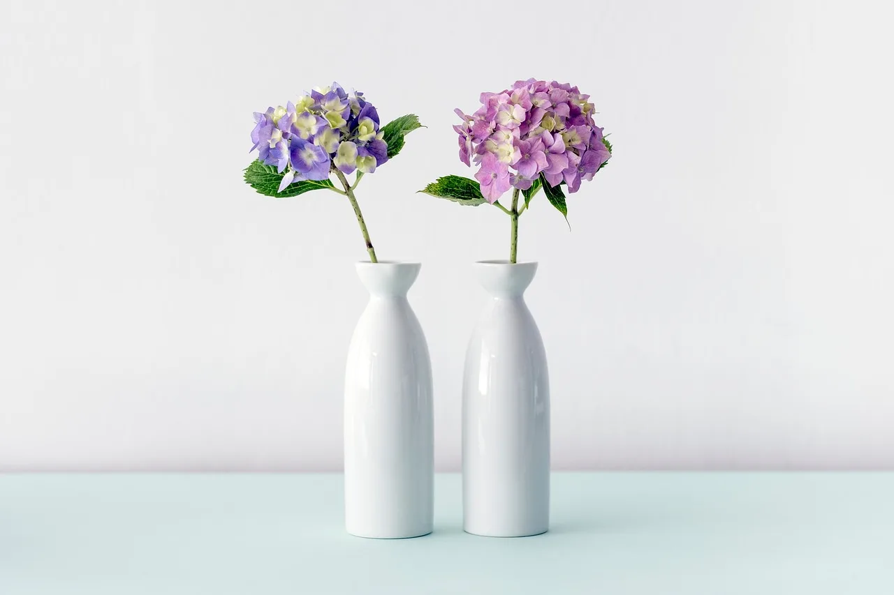 white, ceramic, vase, nature, flower, purple, flower background, flower wallpaper, lavender, beautiful flowers, indoor, interior. Used florist equipment vs new: the cost comparison
