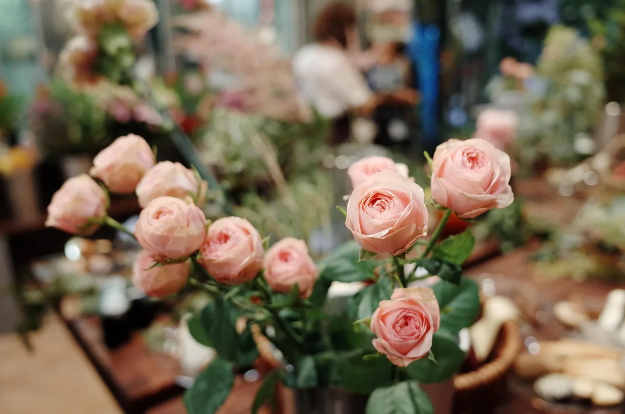 flower, flower wallpaper, florist, beautiful flowers, flowershop, rose, rose flower, roses, pink, wedding ceremony, flowerbox, wedding, flower background, plant, nature. Inventory planning for florists: matching stock levels to steady demand